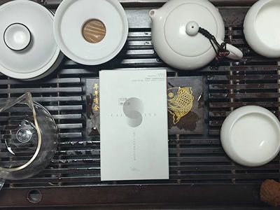 红茶产品设计怎么写简历