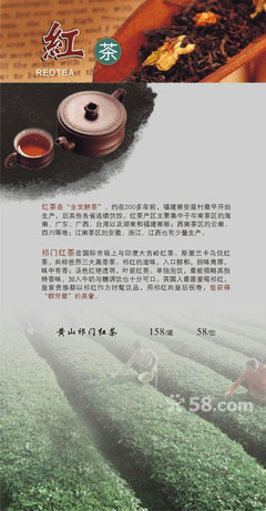 红茶产品设计怎么写简历