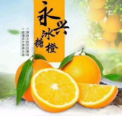 橙子广告语