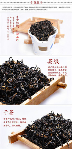 红茶产品设计怎么写简历