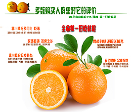 橙子广告语