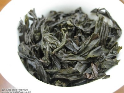 红茶产品设计怎么写简历