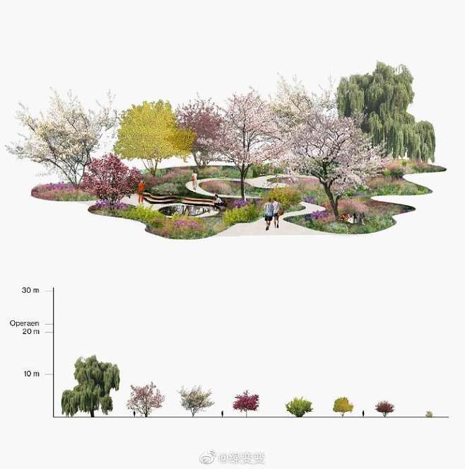 为什么做植物的景观设计