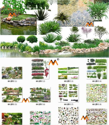为什么做植物的景观设计
