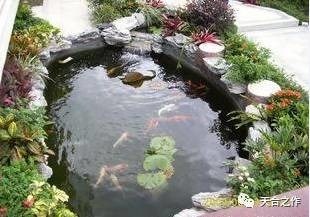 院子水池设计图片
