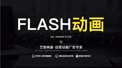 flash公司