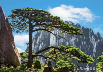 旅游景点广告语