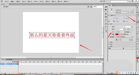 flash在哪里