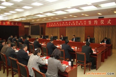 新泰建筑设计院有哪些