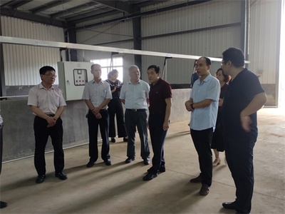 新泰建筑设计院有哪些