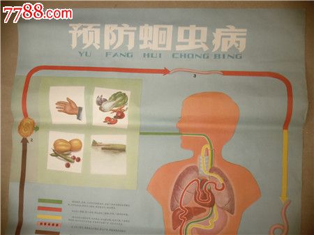 印刷宣传画怎么样