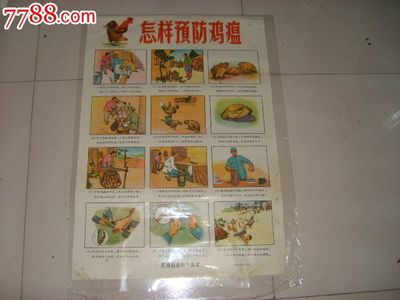 印刷宣传画怎么样