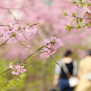 春天设计色彩图片大全