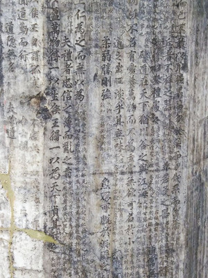 涿州天道文化传媒