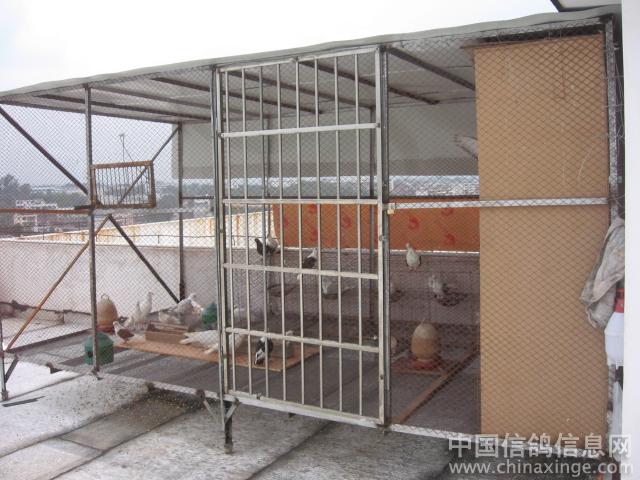 鸽棚设计大全图纸