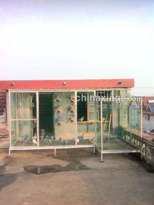 鸽棚设计大全图纸