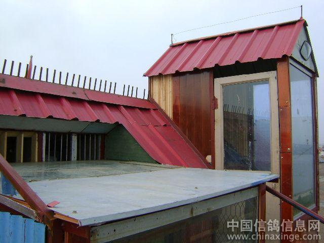 鸽棚设计大全图纸