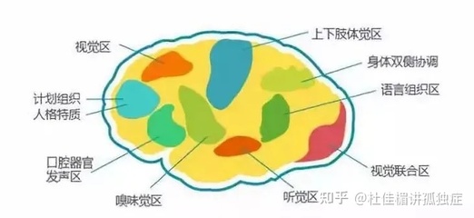 视觉感统失调的训练