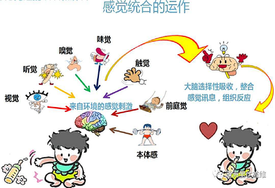 视觉感统失调的训练