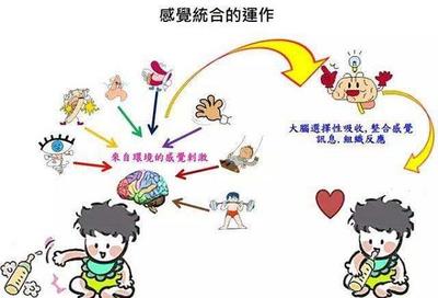 视觉感统失调的训练