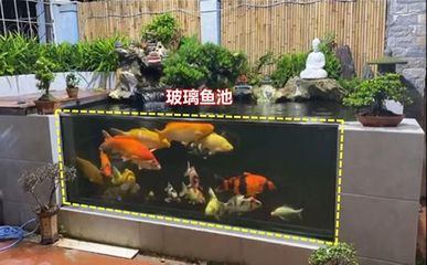 玻璃鱼池设计图片