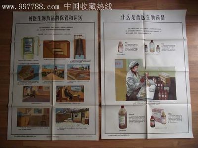 纸质印刷是什么意思