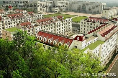 黑龙江建筑设计哪个学校好