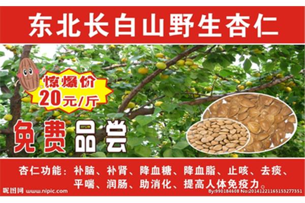 惊爆价广告语