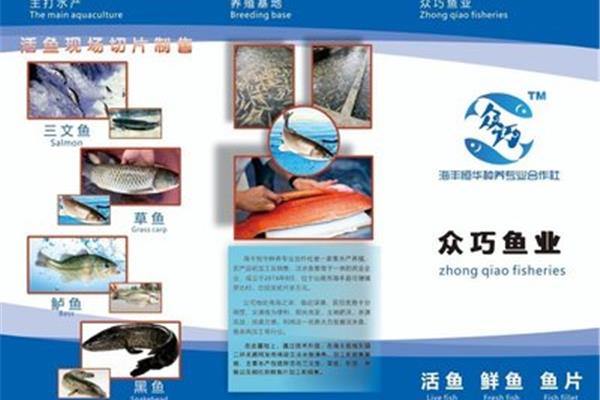 汕尾正规网页设计在哪里