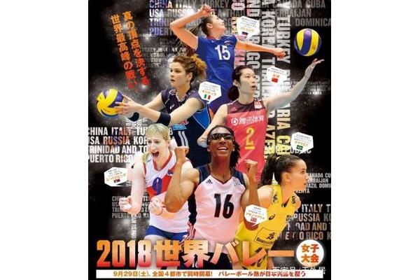 女排世锦赛海报