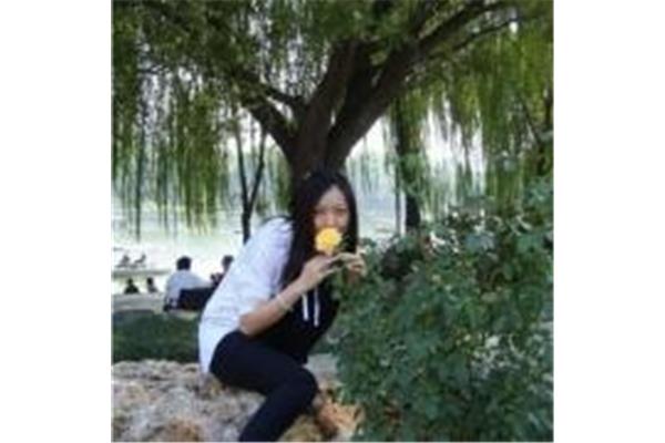 印刷拉规头针是什么
