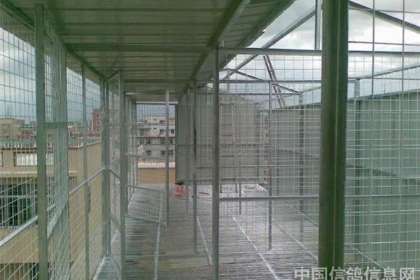 最新信鸽跳篓棚设计图