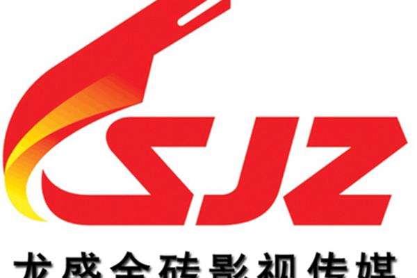 龙盛传媒