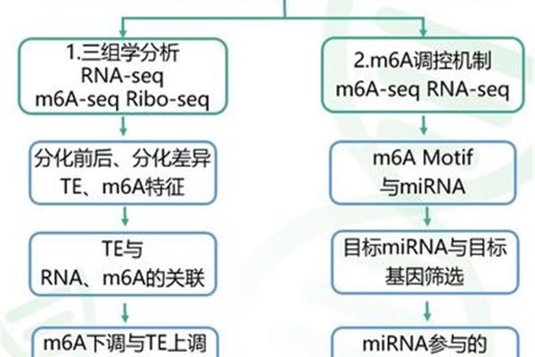 重庆才秀文化传媒