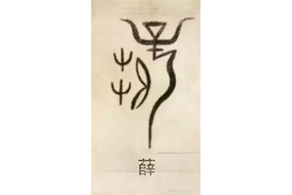 薛字设计