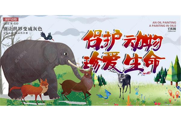 爱护小动物的公益广告